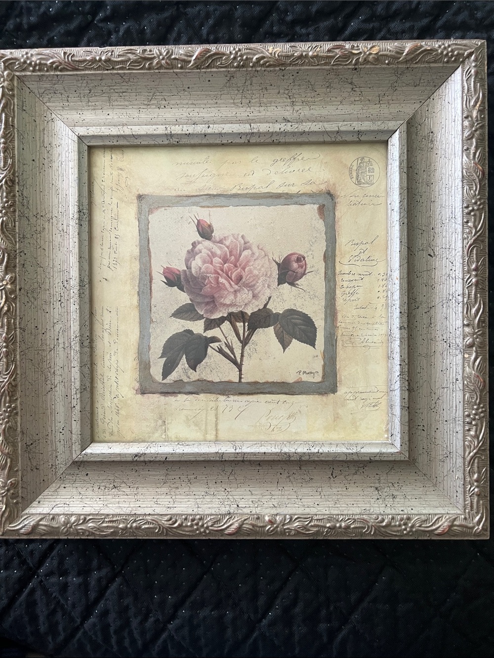 Pamela Murray "Rose Fragment" Framed Botanical Print Art In Motion 12x12